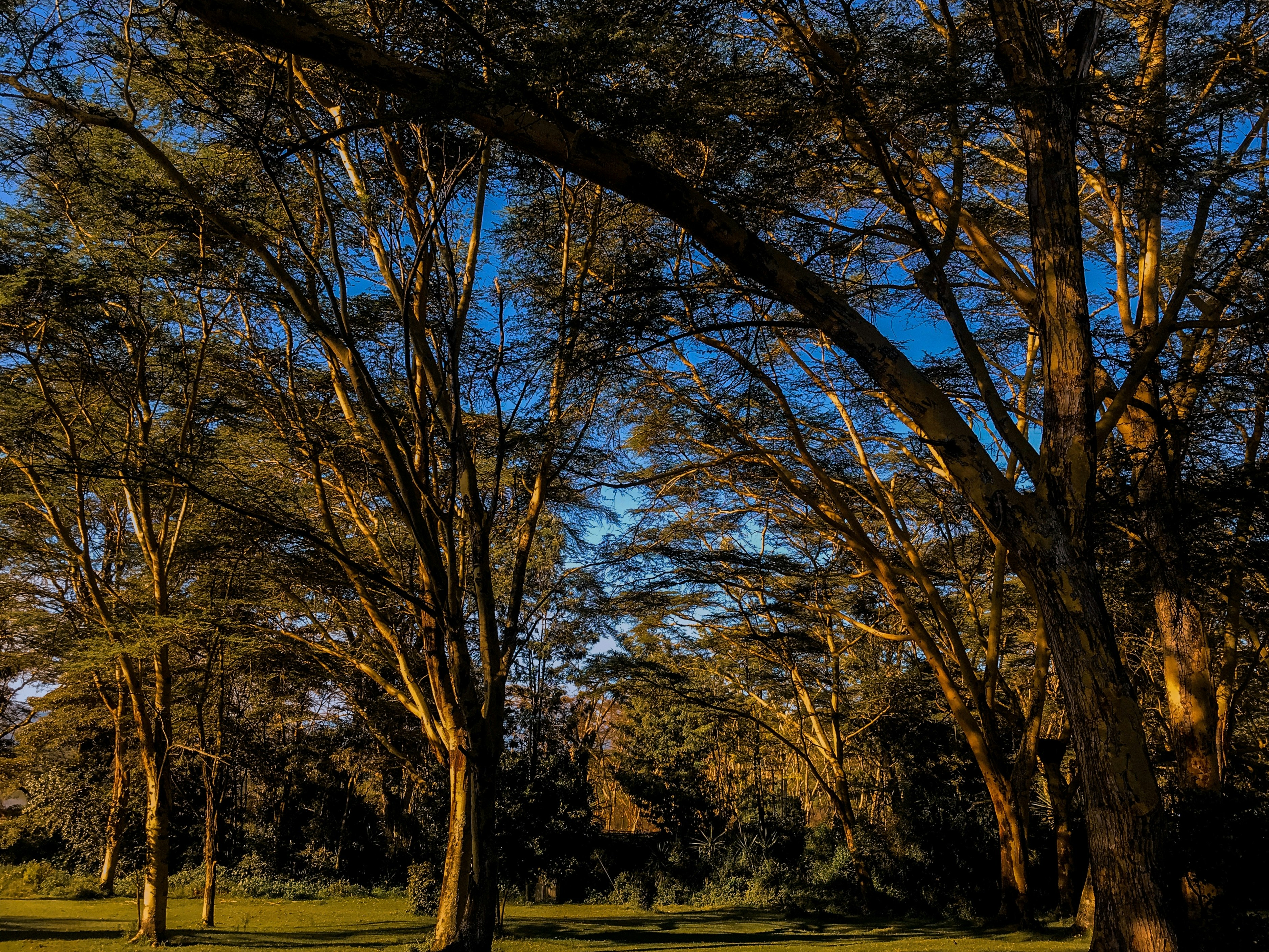 Naivasha-Great Rift Valley Lodge